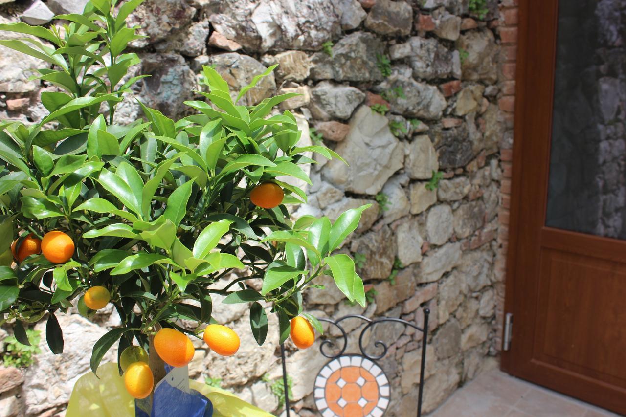 B&B Canneto Monteverdi Marittimo Exterior foto